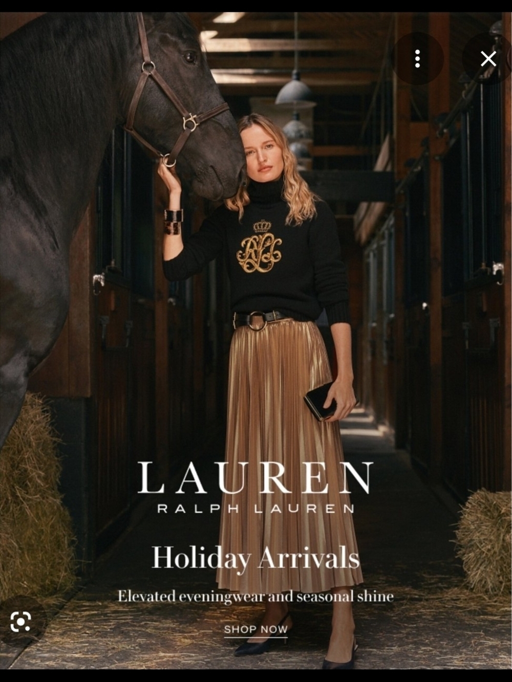 Ralph Lauren Metallic Gold Pleated Maxi Skirt - Picture 6 of 9